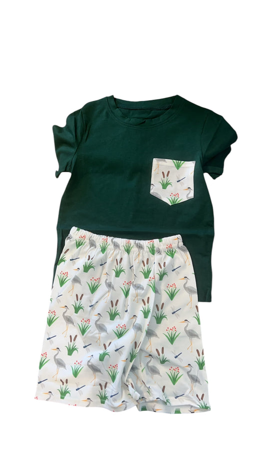 Green bird Set